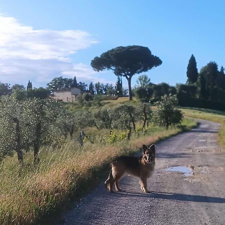 Casale La Giara Sorrezzana Exterior foto
