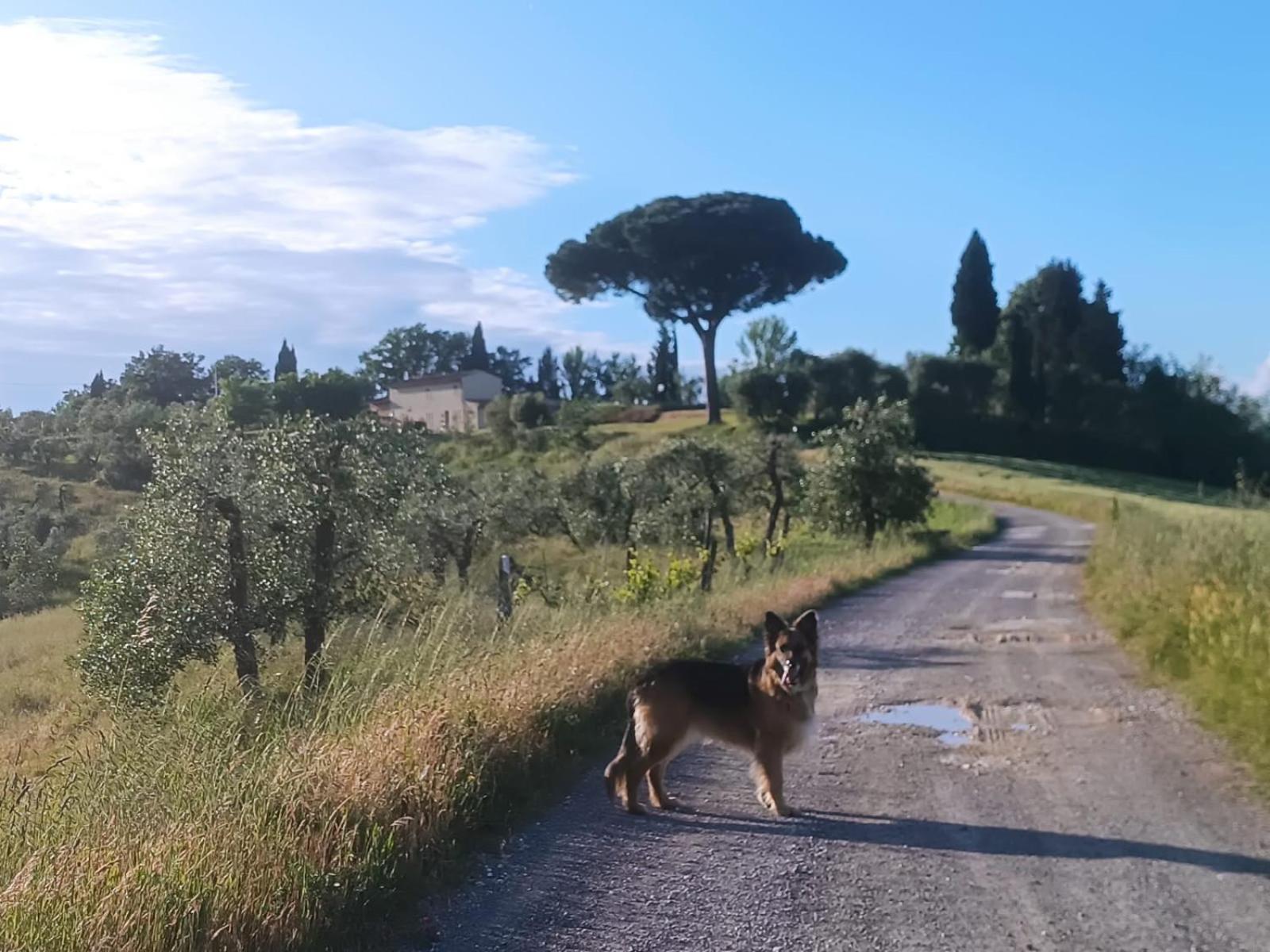 Casale La Giara Sorrezzana Exterior foto